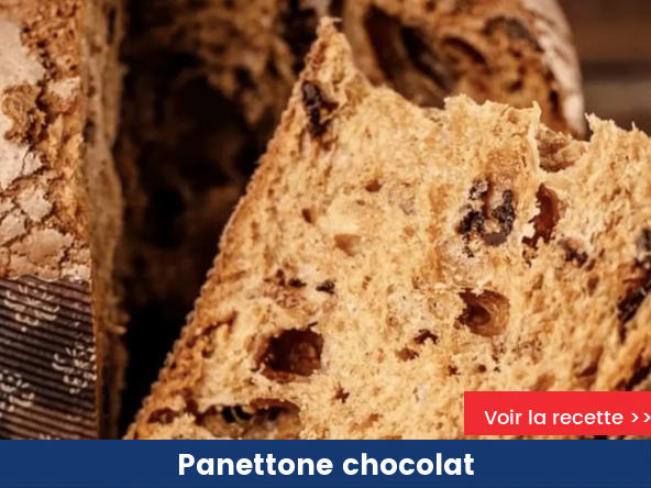 Panettone chocolat